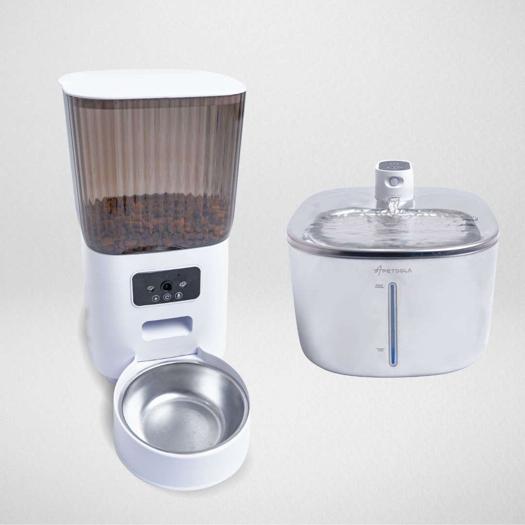 Feast and Flow Bundle