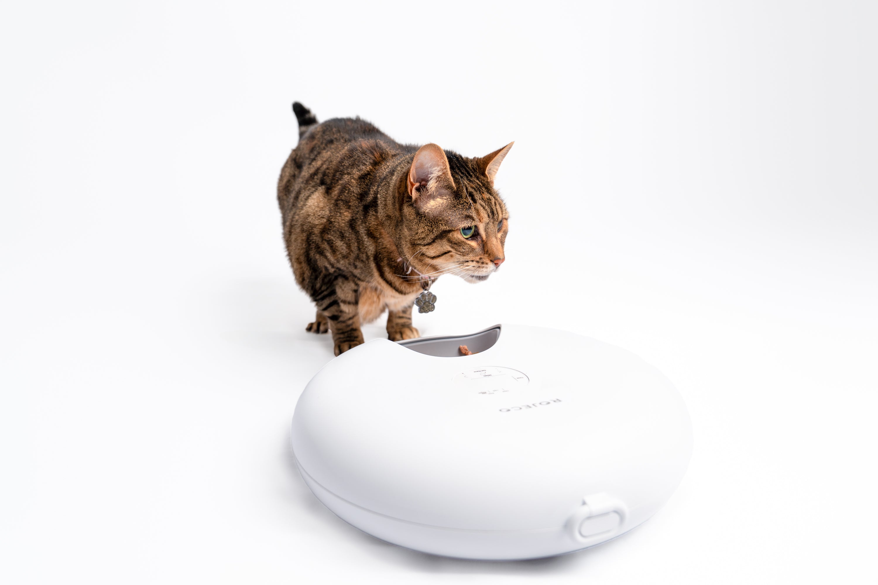 Smart Rotating Cat Feeder - 6 Meal Capacity