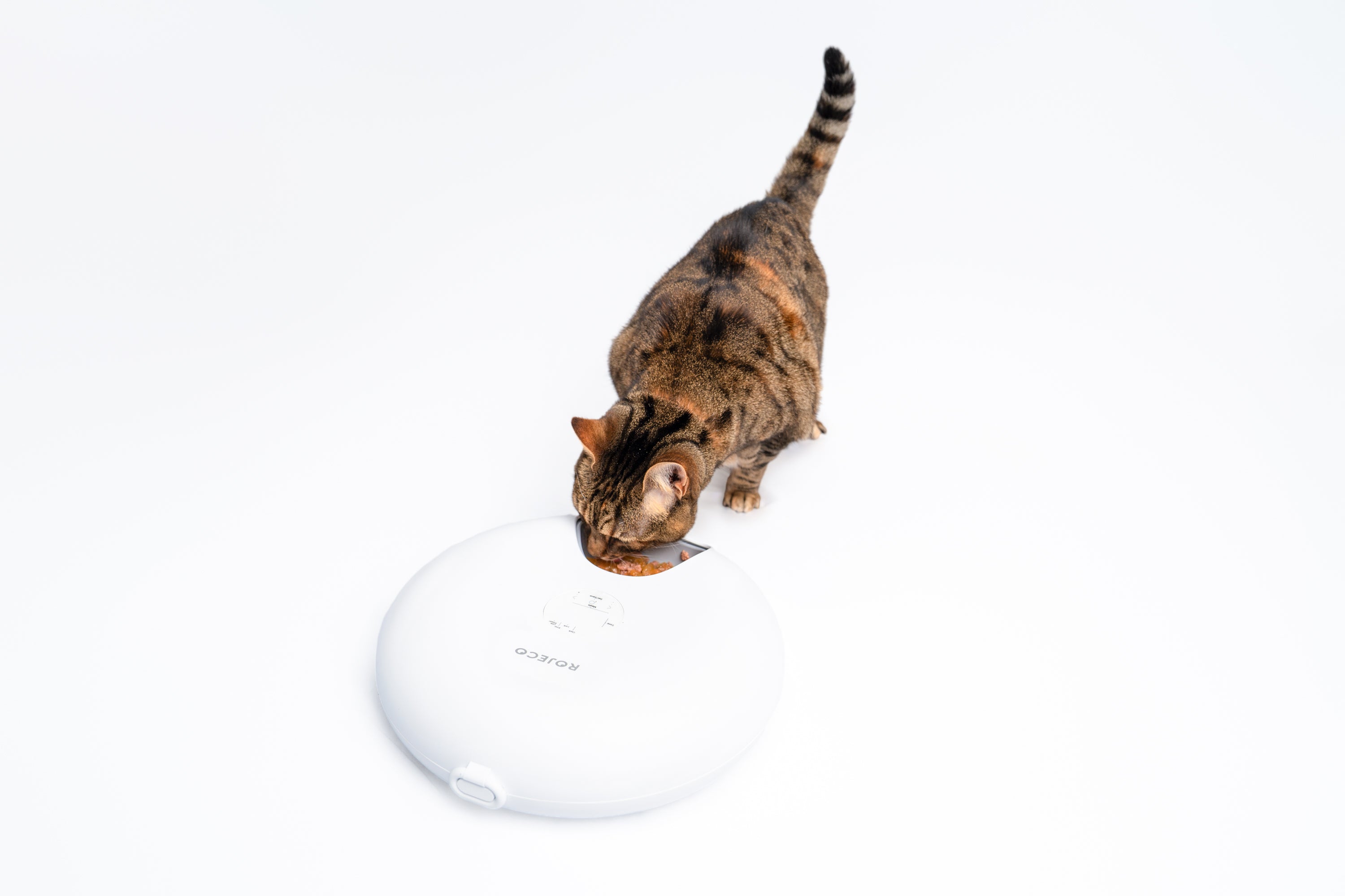 Smart Rotating Cat Feeder - 6 Meal Capacity