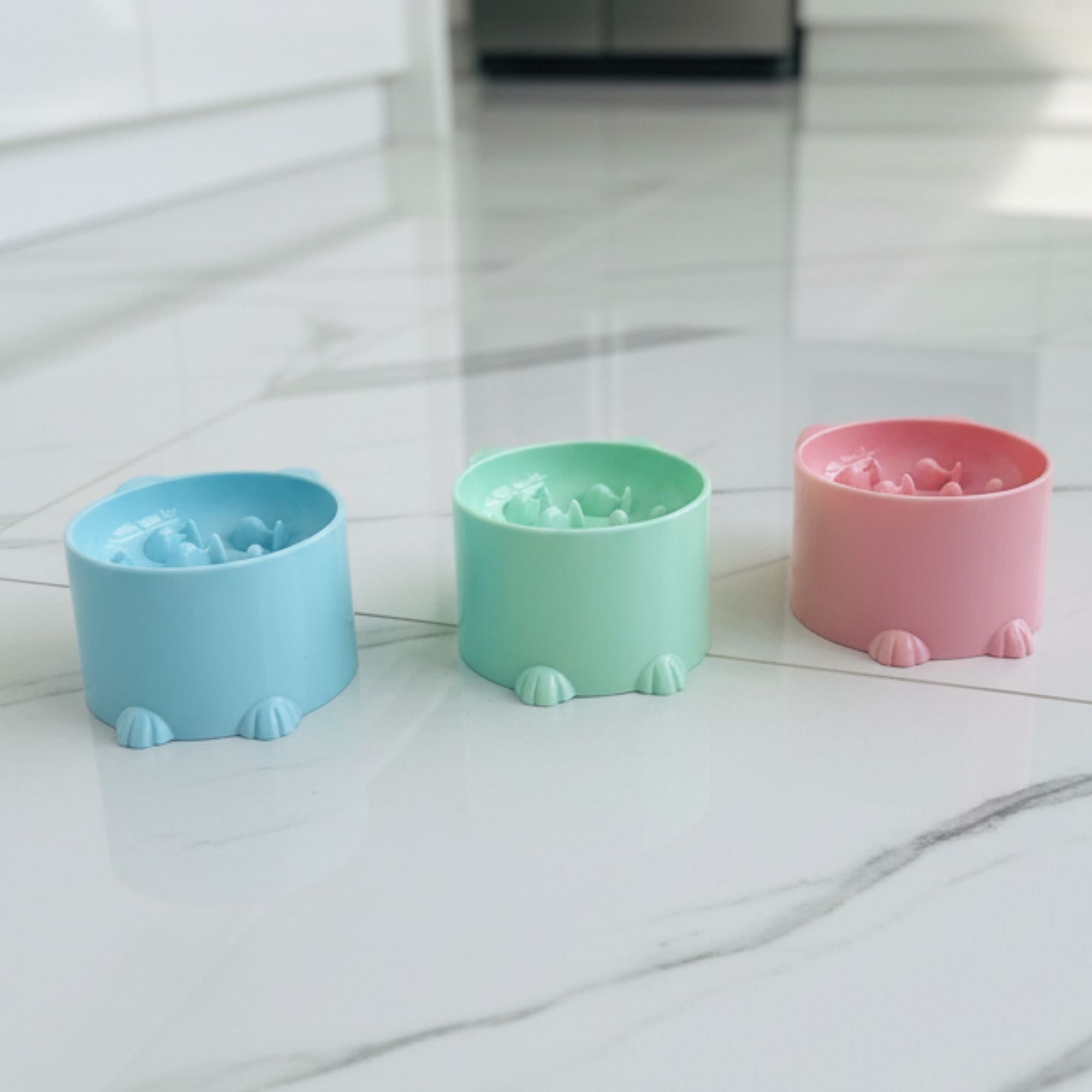 Slow Feeding Cat Bowl