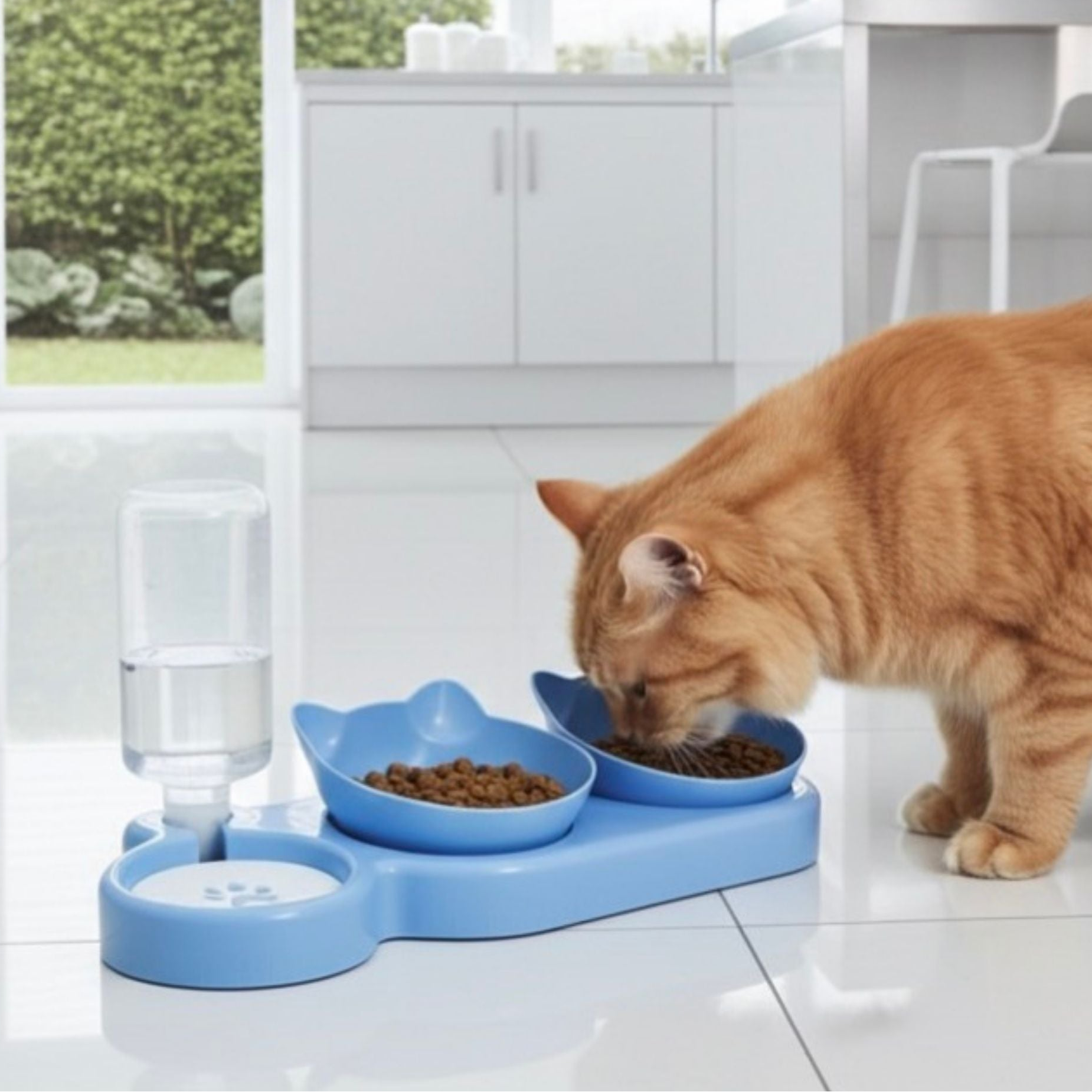3-in-1 Food & Water Bowl - Tilted Design for Comfort