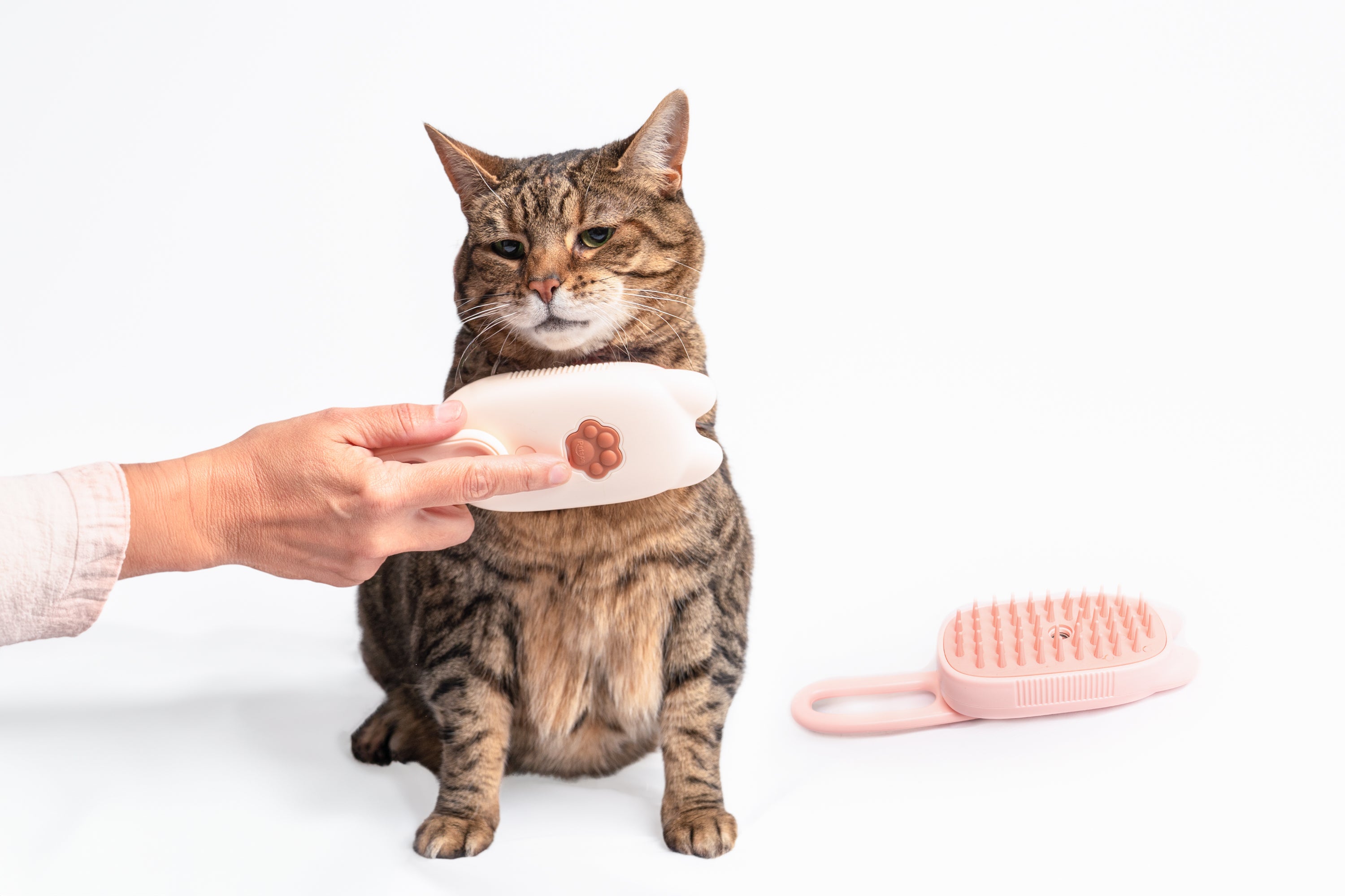Cat Care Steam Groomer - Brush, Massage & Mist