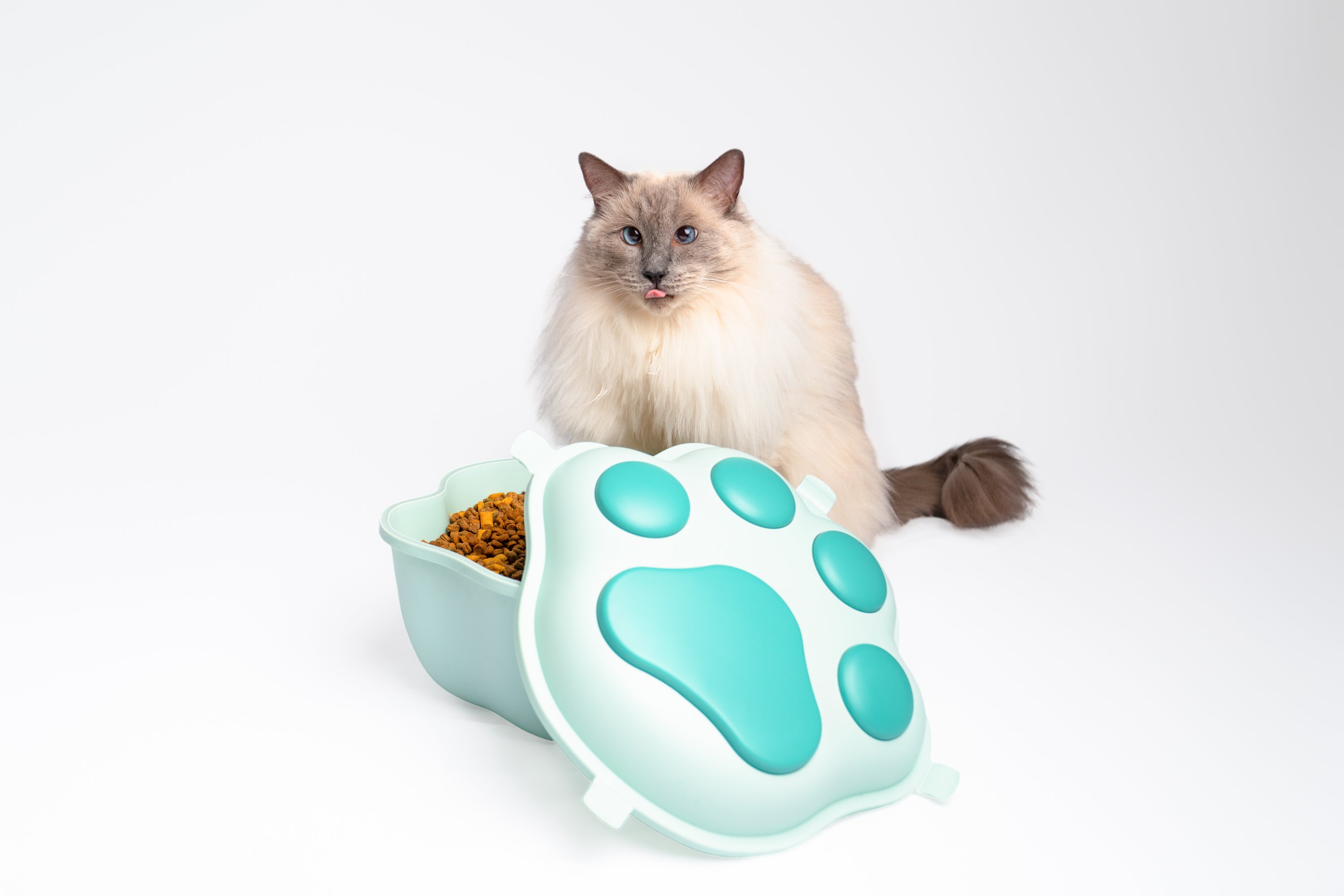 Airtight Cat Food Storage Container with Measuring Scoop