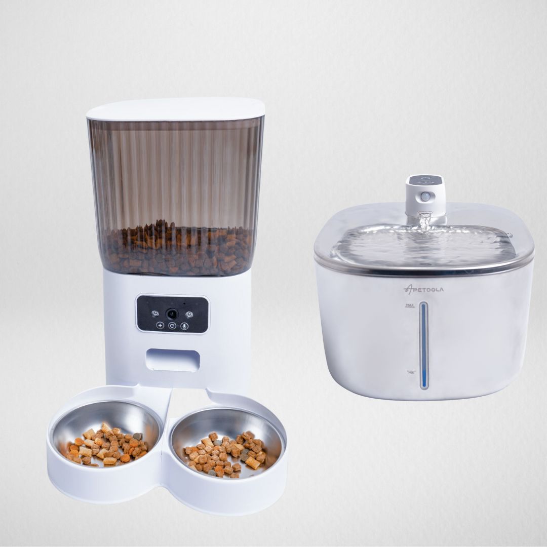 Feast and Flow Bundle