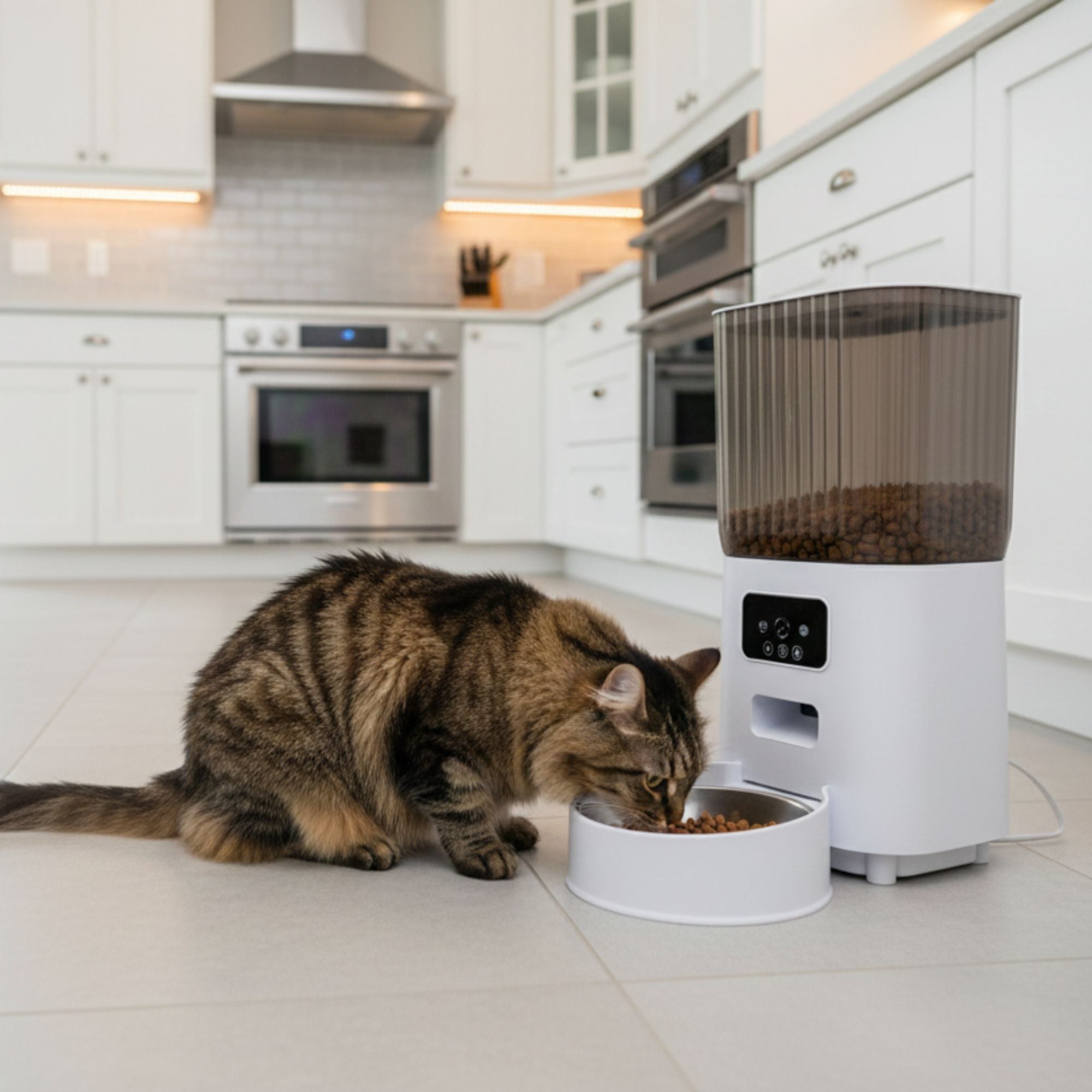 Smart Cat Feeder with HD Camera - 5L Automatic Feeder | Velvet Paws