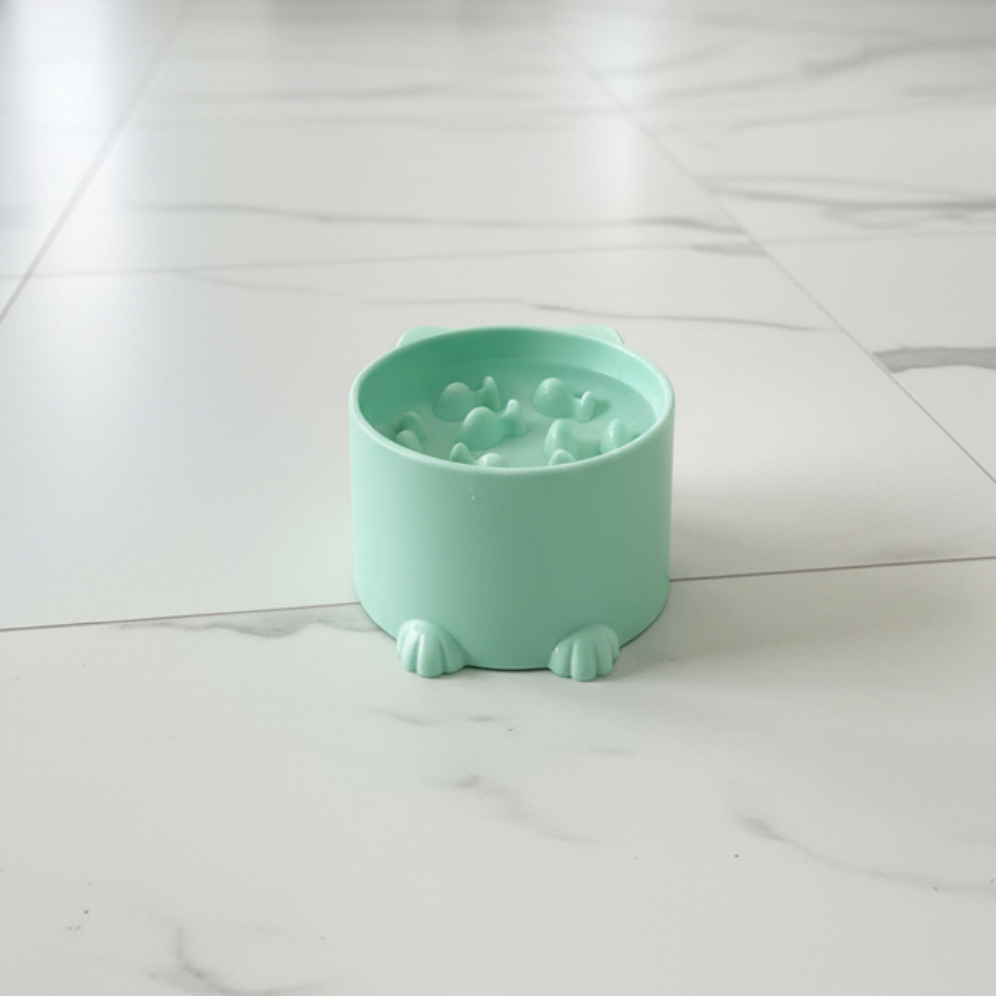 Slow Feeding Cat Bowl