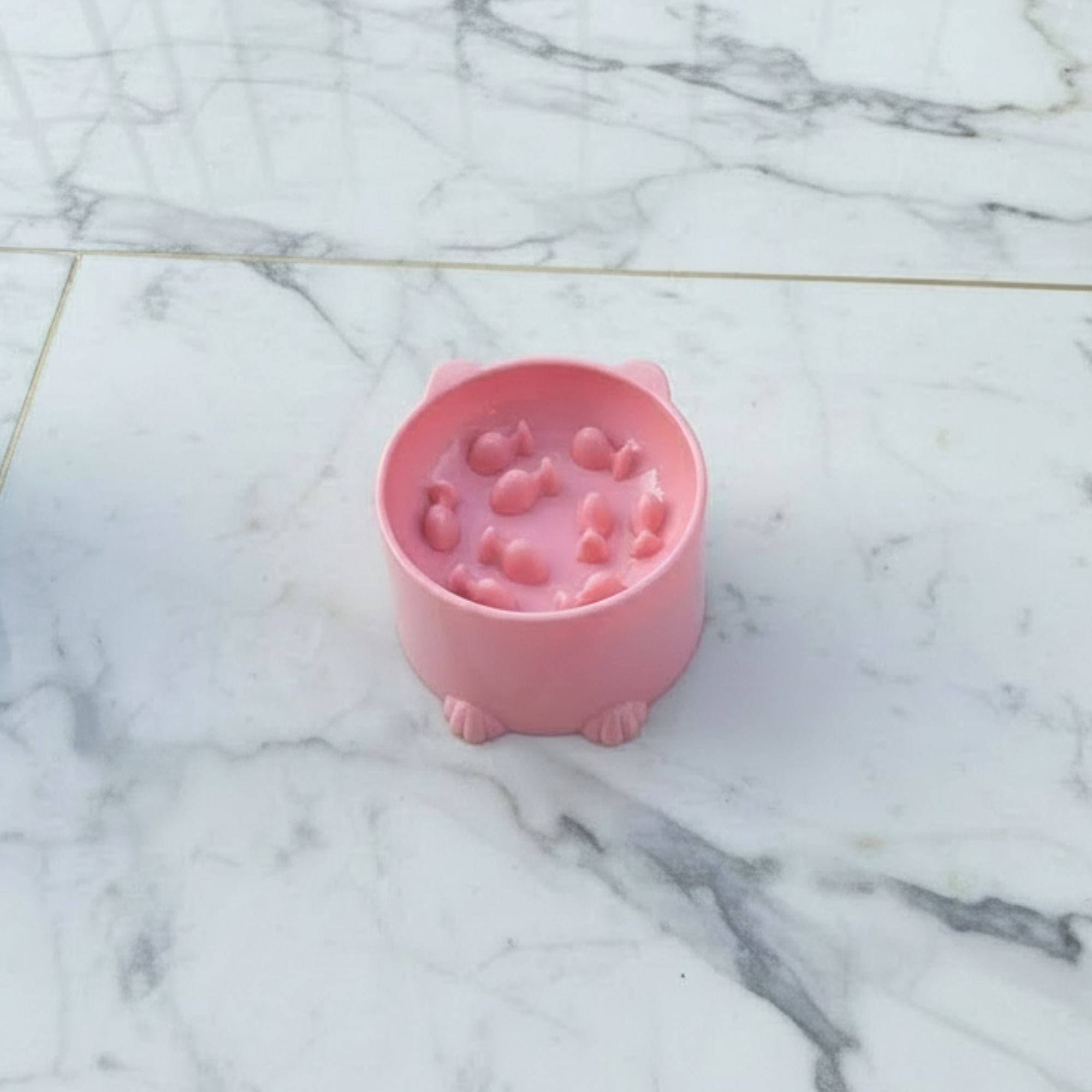 Slow Feeding Cat Bowl