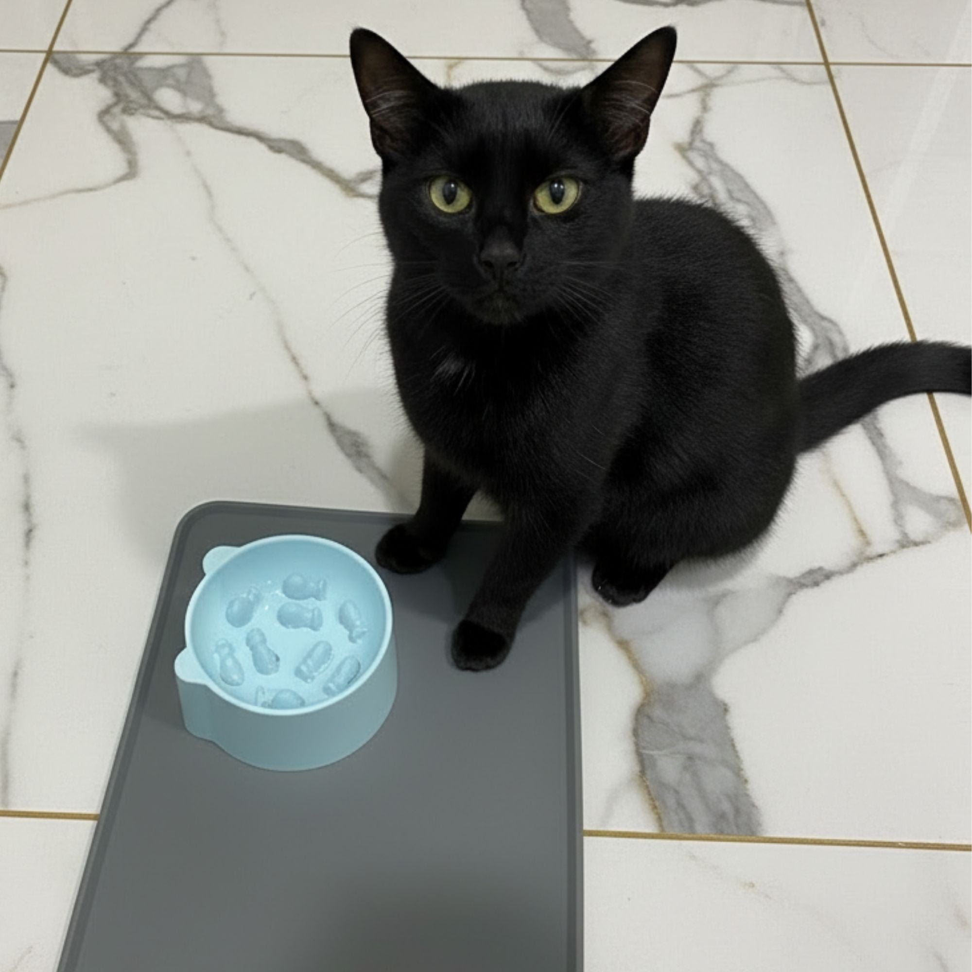 Slow Feeding Cat Bowl