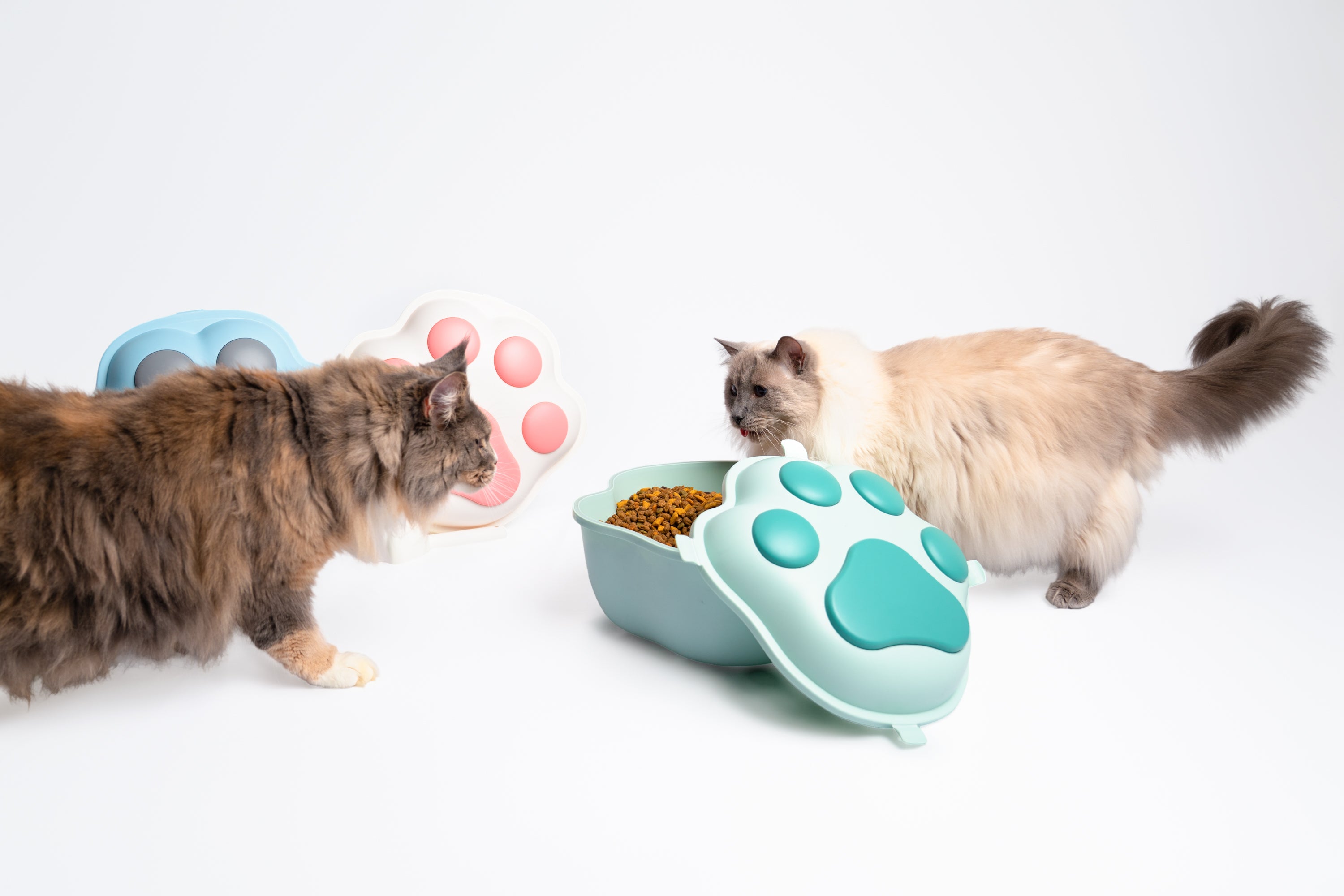 Airtight Cat Food Storage Container with Measuring Scoop