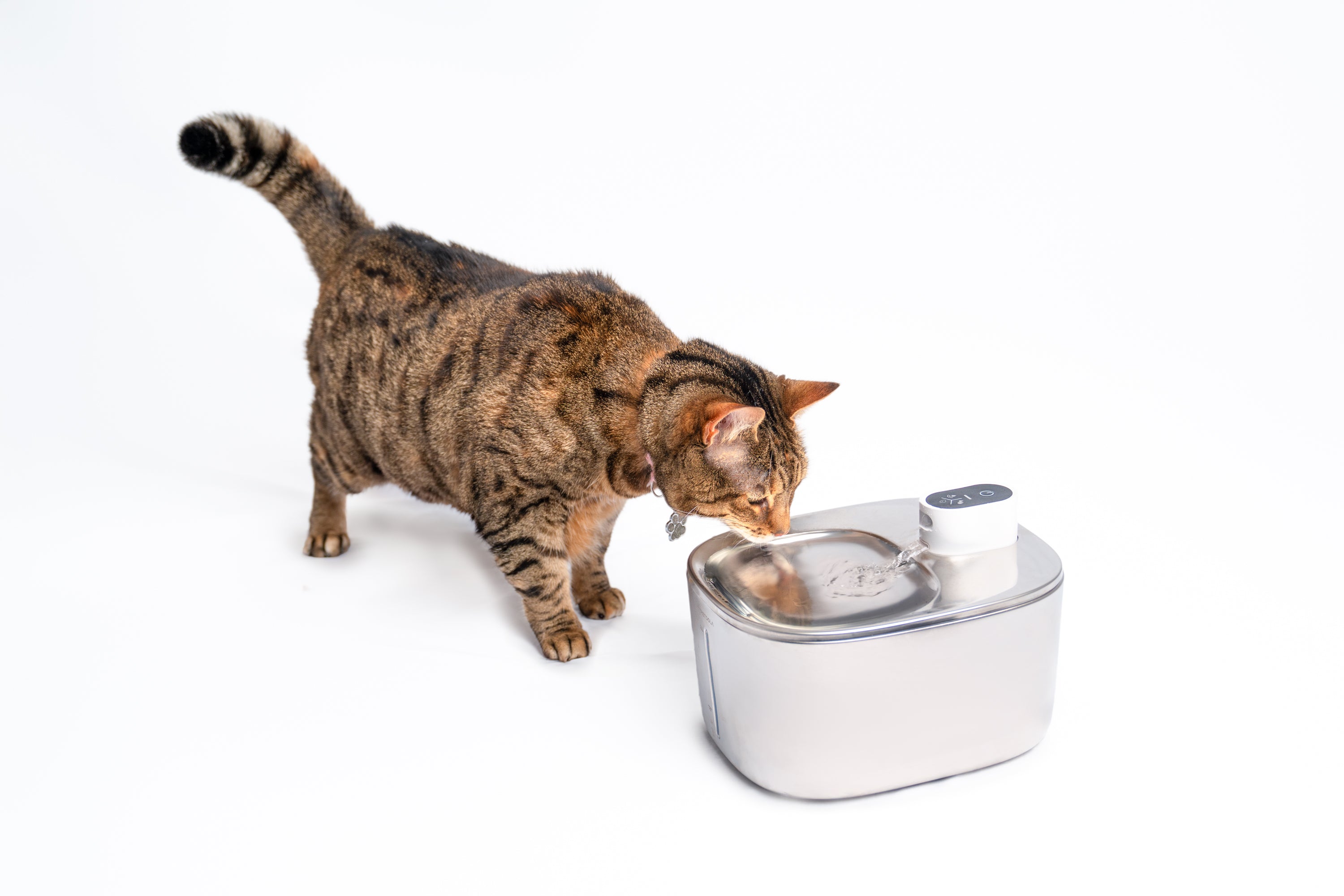 4L Cordless Stainless Steel Cat Water Fountain